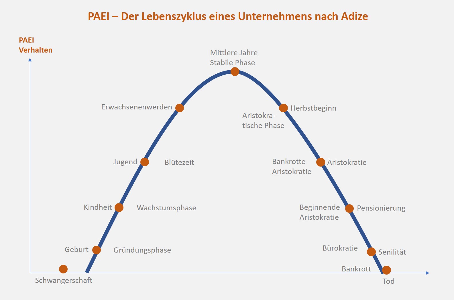 PAEI - Lebenszyklus eines Unternehmens