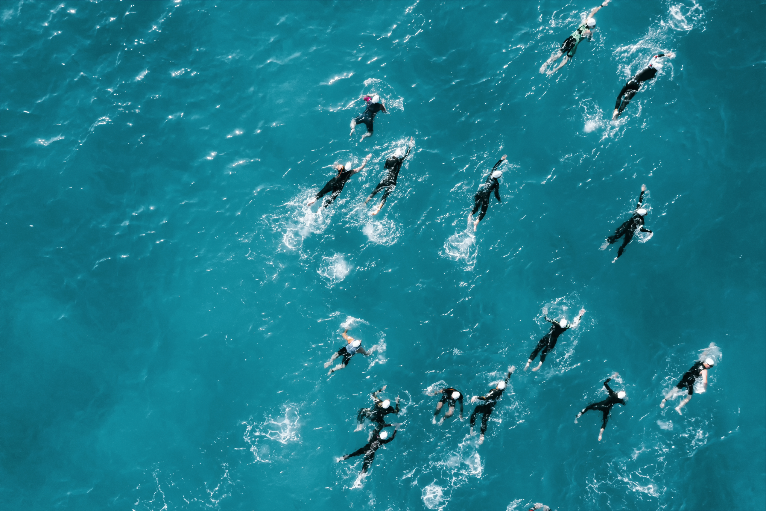 Mehrere Personen schwimmen