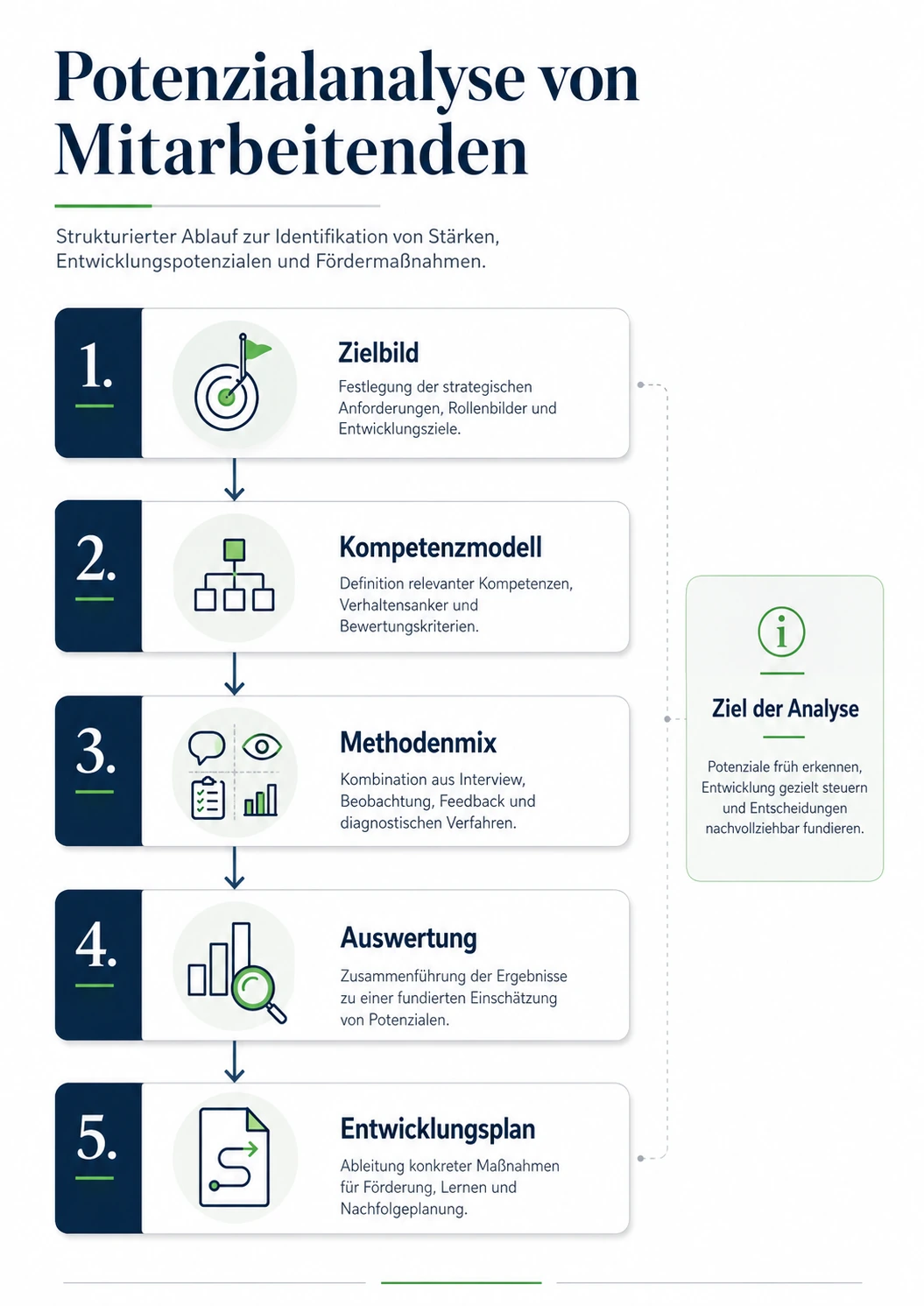 Infografik zum Ablauf einer Potenzialanalyse von Mitarbeitenden im Unternehmen